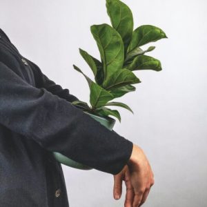 節慶花禮