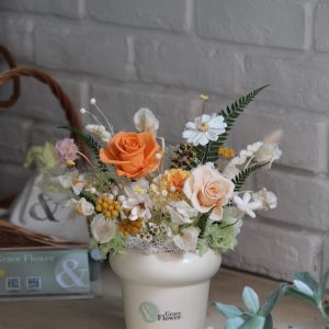 永生晨光小森林－古典奶油盆