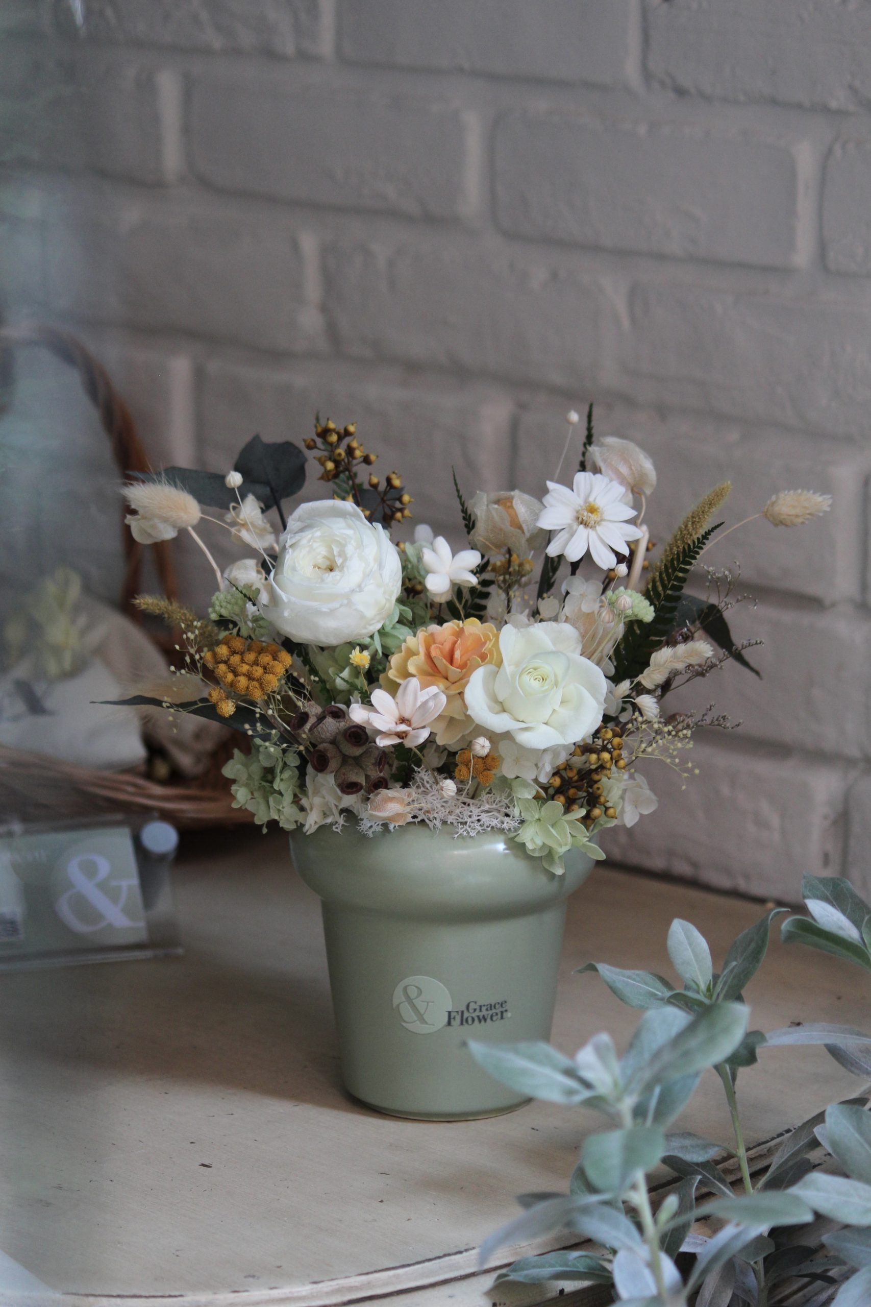 永生晨光小森林-清新牛油果盆