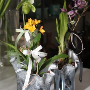 Fidrio玻璃花瓶