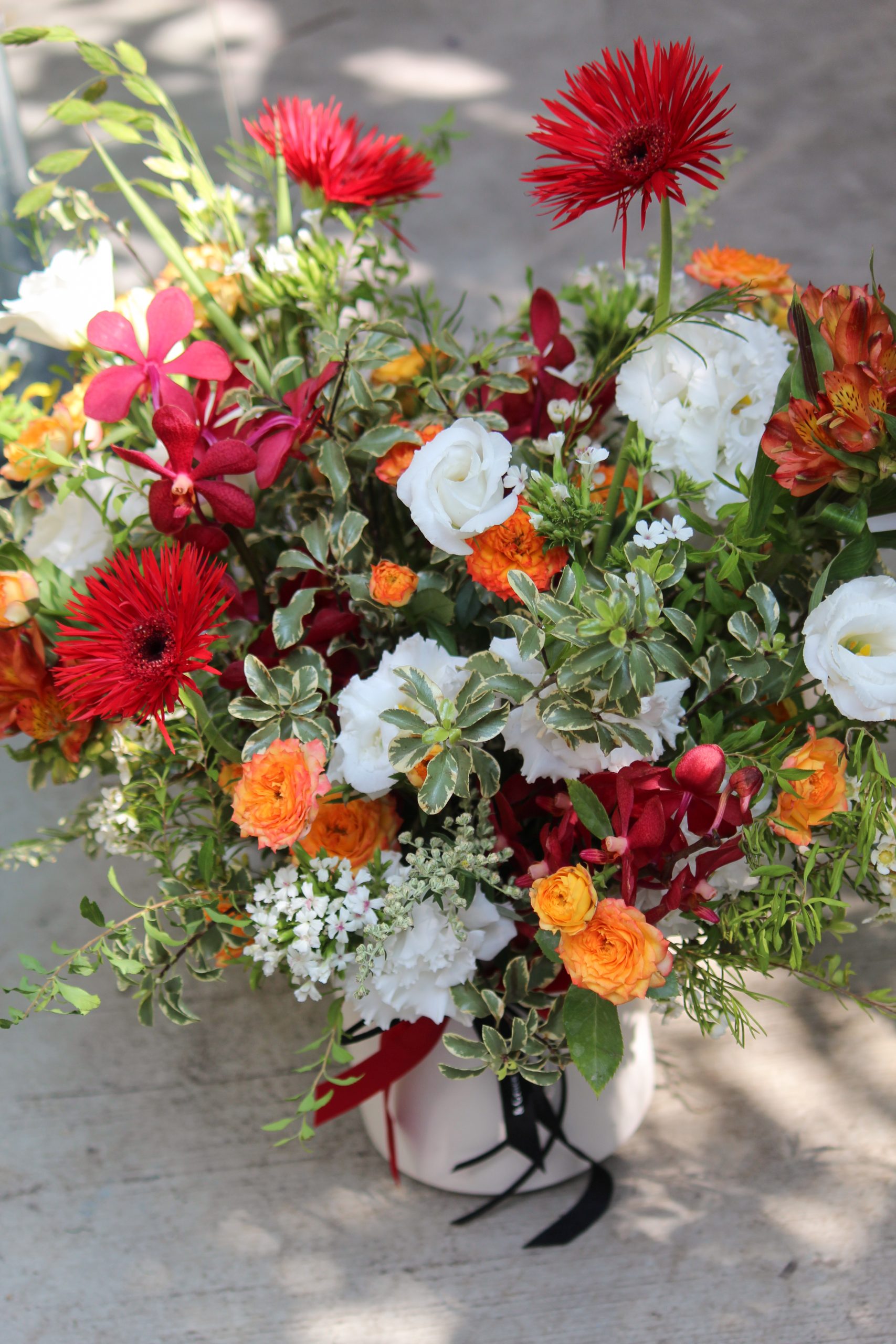 朝霞映白:圖片 4