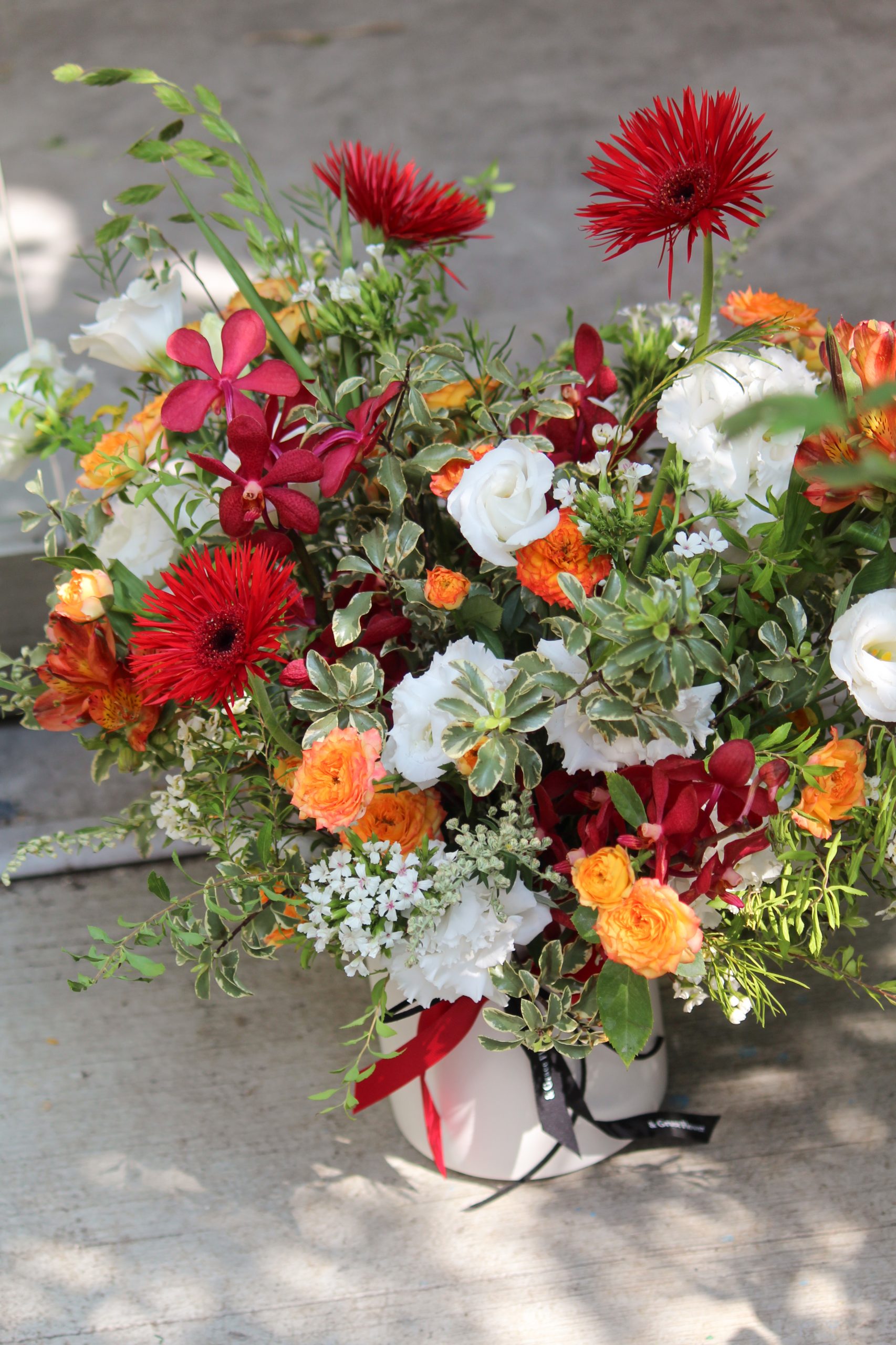 朝霞映白:圖片 3