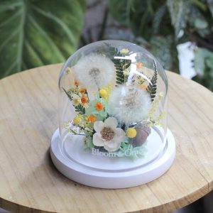 純淨蒲公英永生花玻璃花盅(白底)