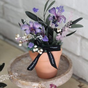 時空的禮物/紫色系