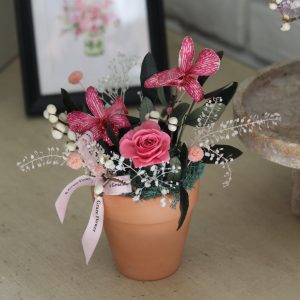 時空的禮物/粉色系