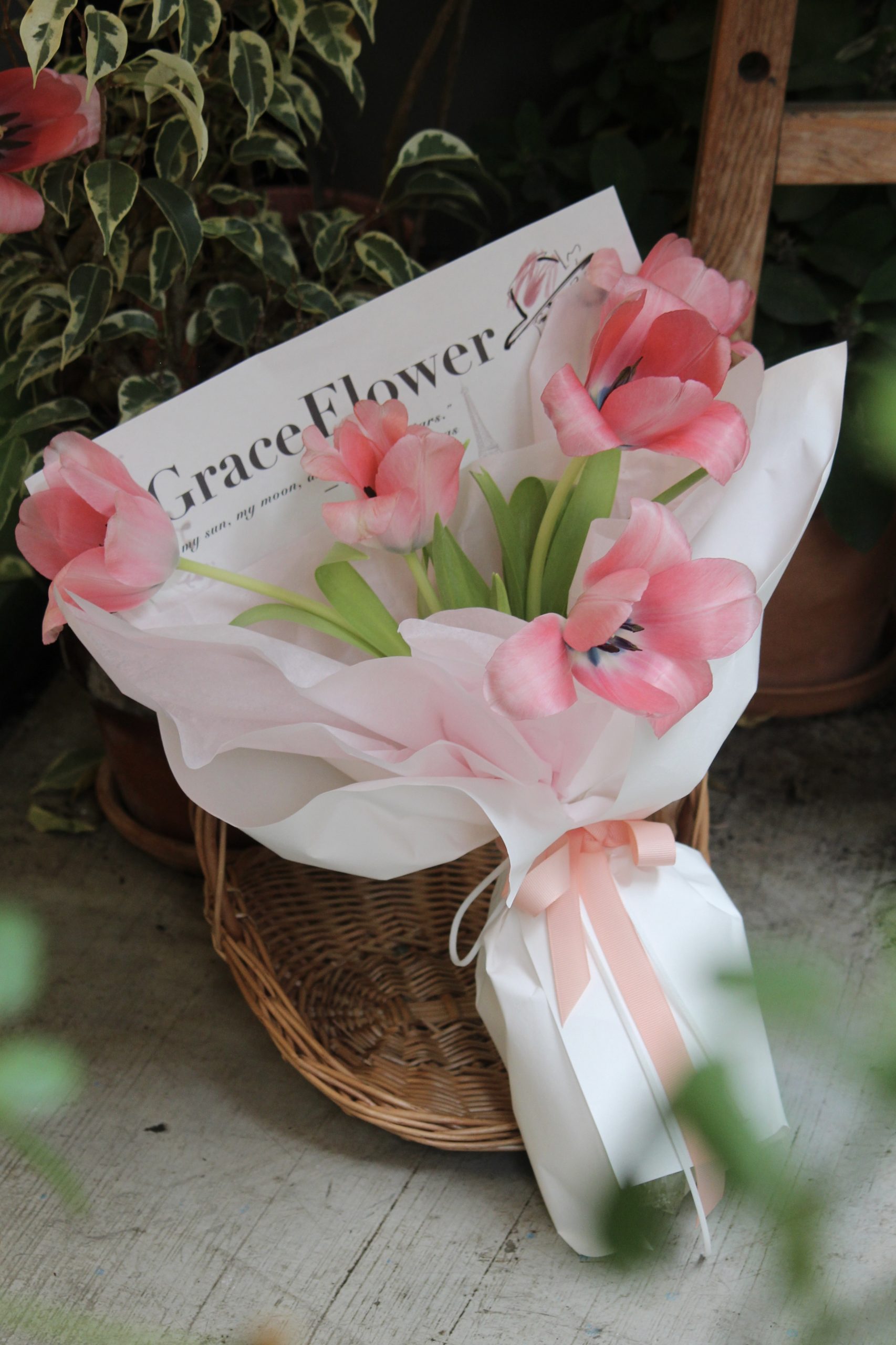 五朵粉鬱金香鮮花束:圖片 2