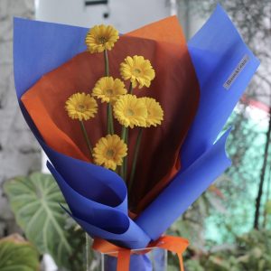 明亮色系迷你非洲菊花束