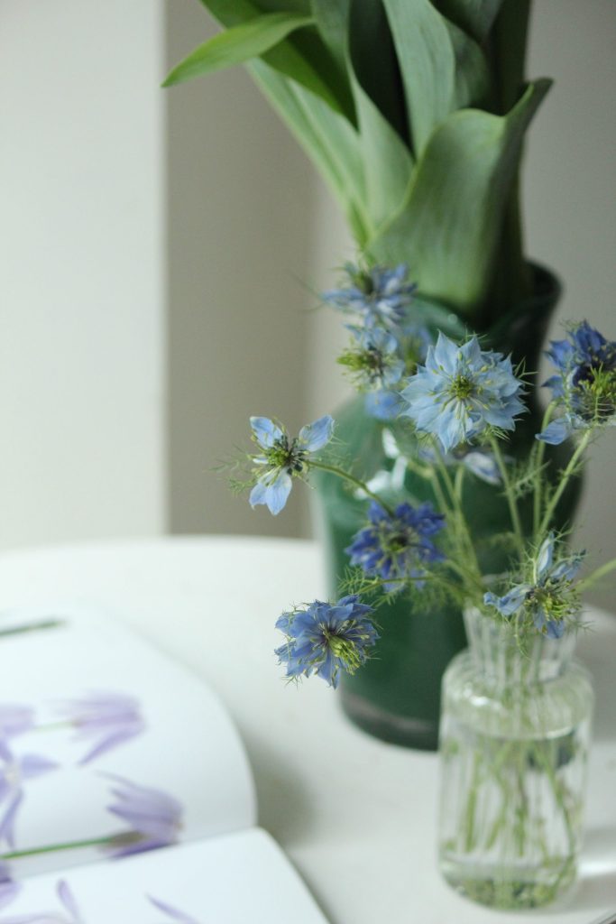 Bloom & Grace 花店日常，藍色花朵與玻璃花瓶細節