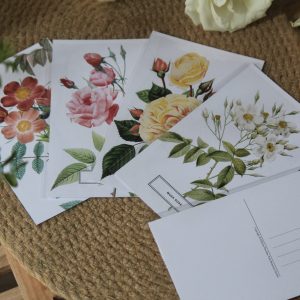 Bloom & Grace 植物圖鑑祝福卡片
