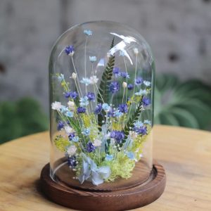 【夏天的味道】雛菊花園玻璃小花盅｜Bloom & Grace 深夜取花